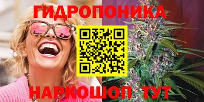 трава Краснодар