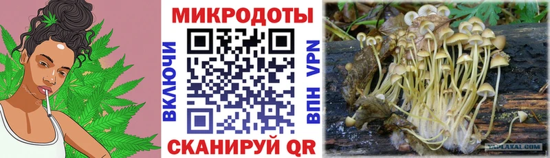 Псилоцибиновые грибы мицелий  blacksprut маркетплейс  Дальнереченск  купить закладку 