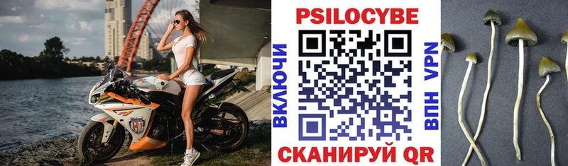 Псилоцибиновые грибы мухоморы Дальнереченск