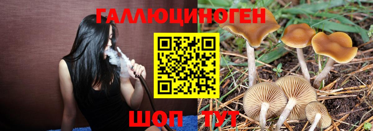 Галлюциногенные грибы Psilocybine cubensis  Псилоцибиновые грибы прущие грибы  Дальнереченск  Вход с VPN 